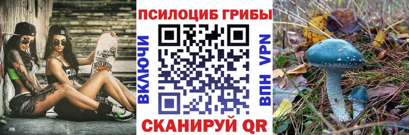 omg рабочий сайт  наркотики  Михайловск  Псилоцибиновые грибы ЛСД 